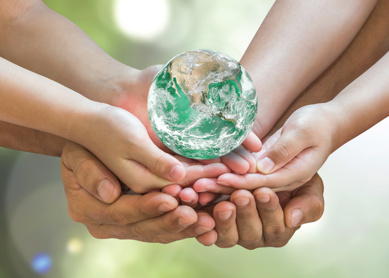 Elevate Business Standards through Top-notch Waste Collection